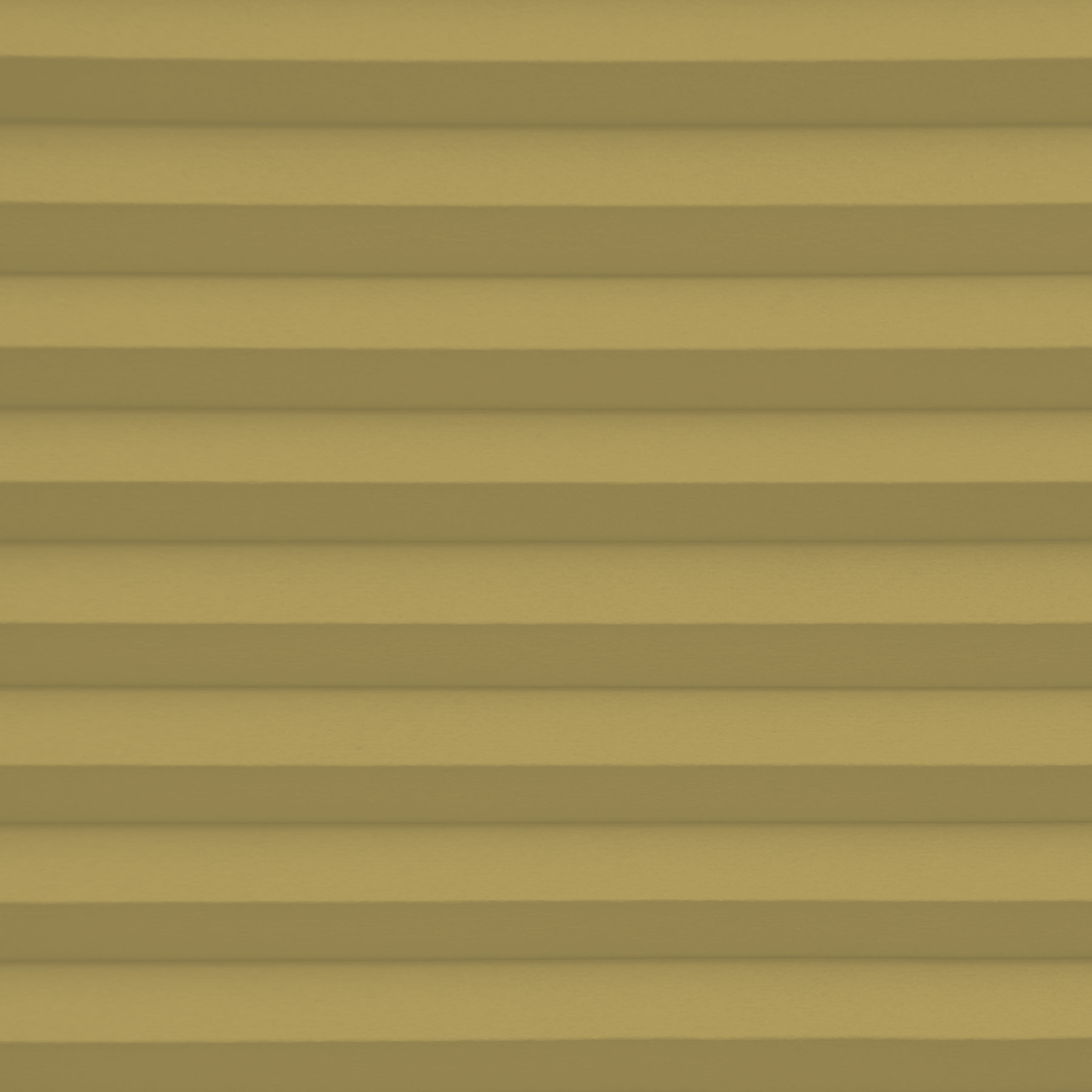 Lexington Saffron